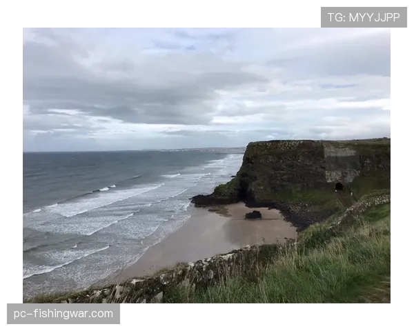 环岛赛二十年：从“高水平参与”到“高价值争锋”的品牌升级之路